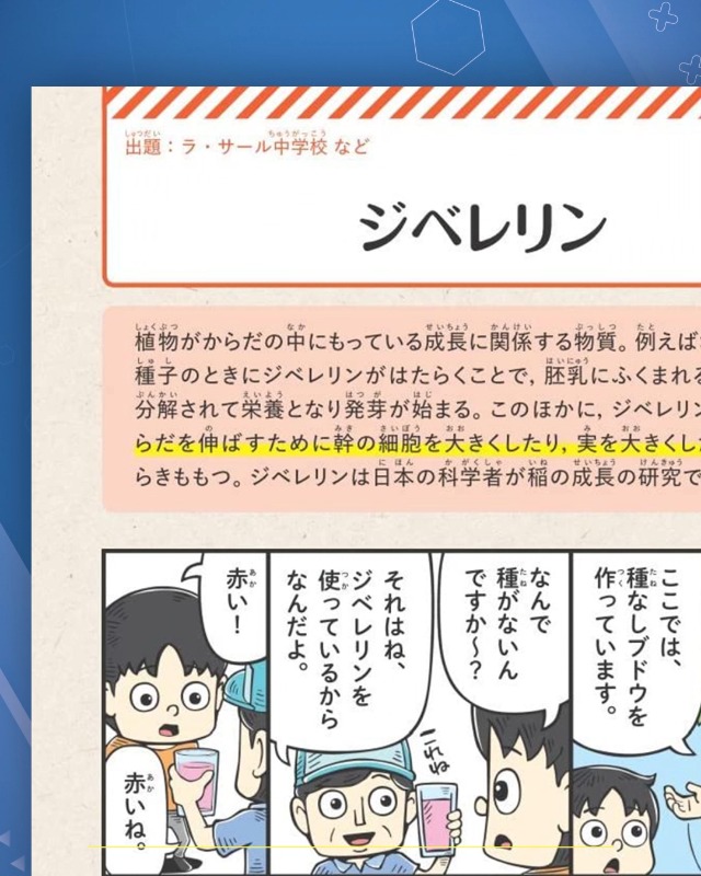 マンガでわかる！中学入試に役立つ教養 読解力が深まる言葉 247